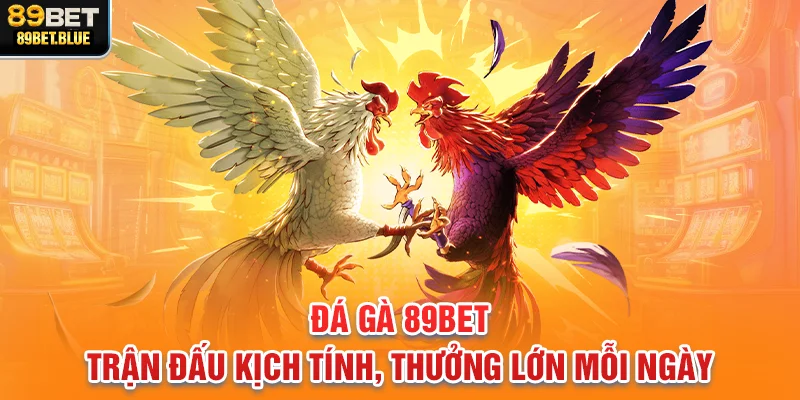 Đá gà 89BET – Trận đấu kịch tính, thưởng lớn mỗi ngày